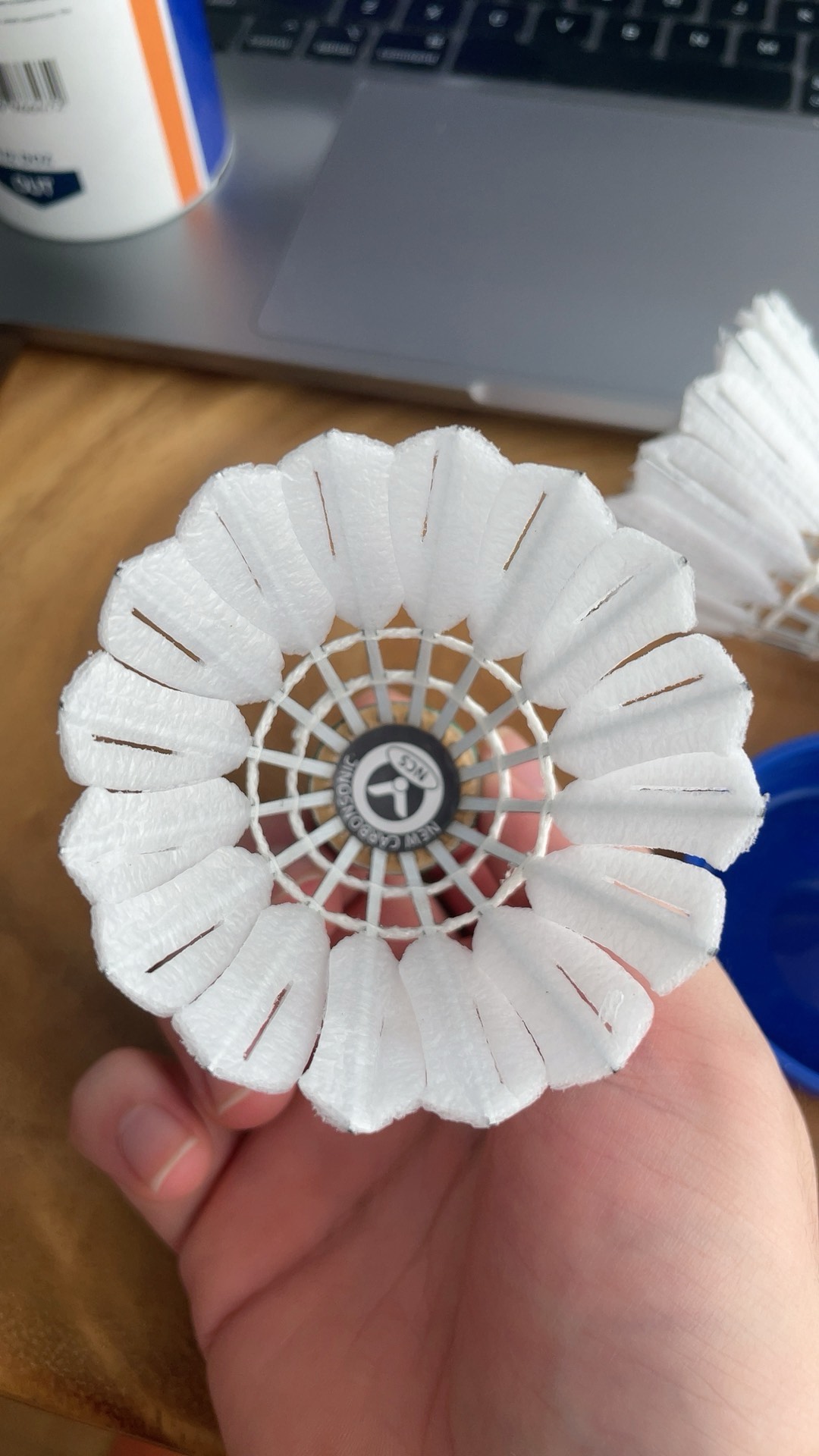 直到她决定 直到她决定