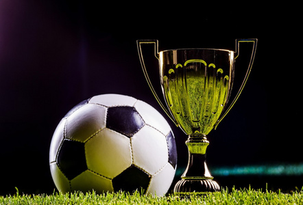 动作的完美 动作的完美