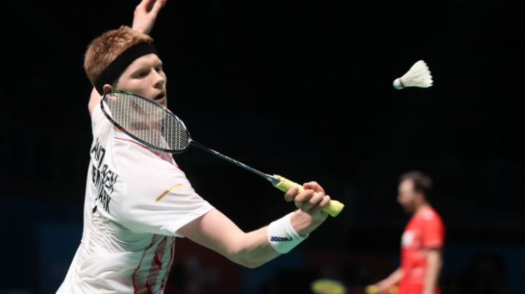 新秀初现 新秀初现