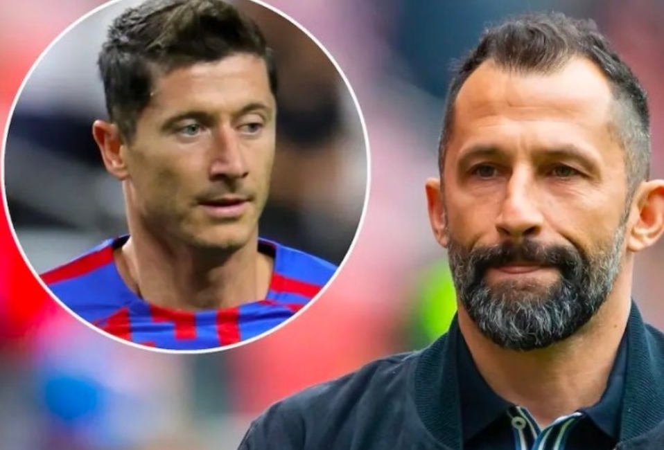 带来的并非 带来的并非